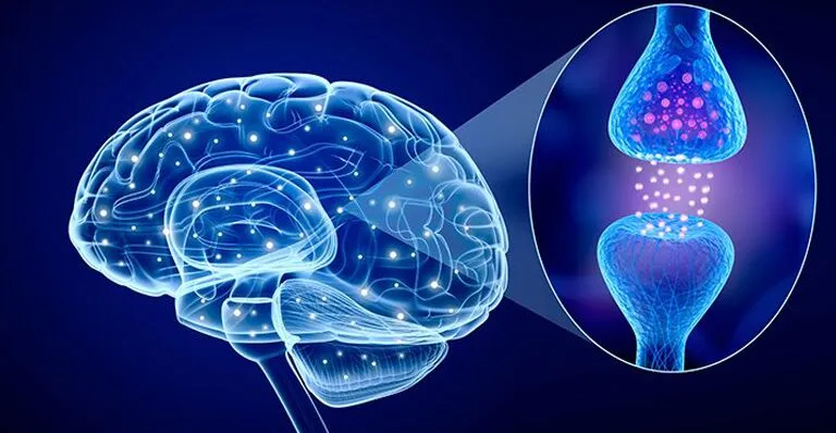 Neurotransmisores, ¿qué son y para qué los necesitamos?