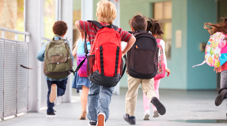 ¡Vuelta al cole! O no…